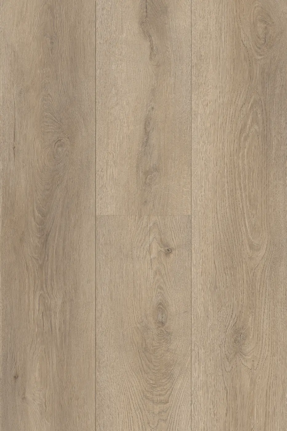 Pantora Lifestyle Glacial Grey laminate flooring colour swatch