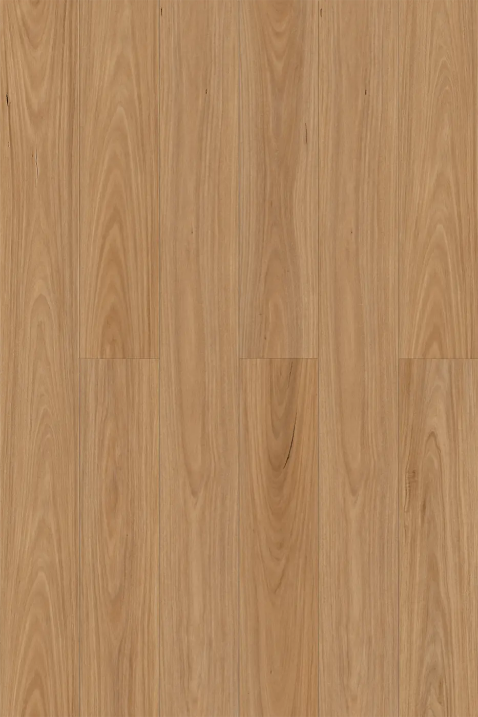 Pantora Lifestyle Raw Blackbutt laminate flooring product photo