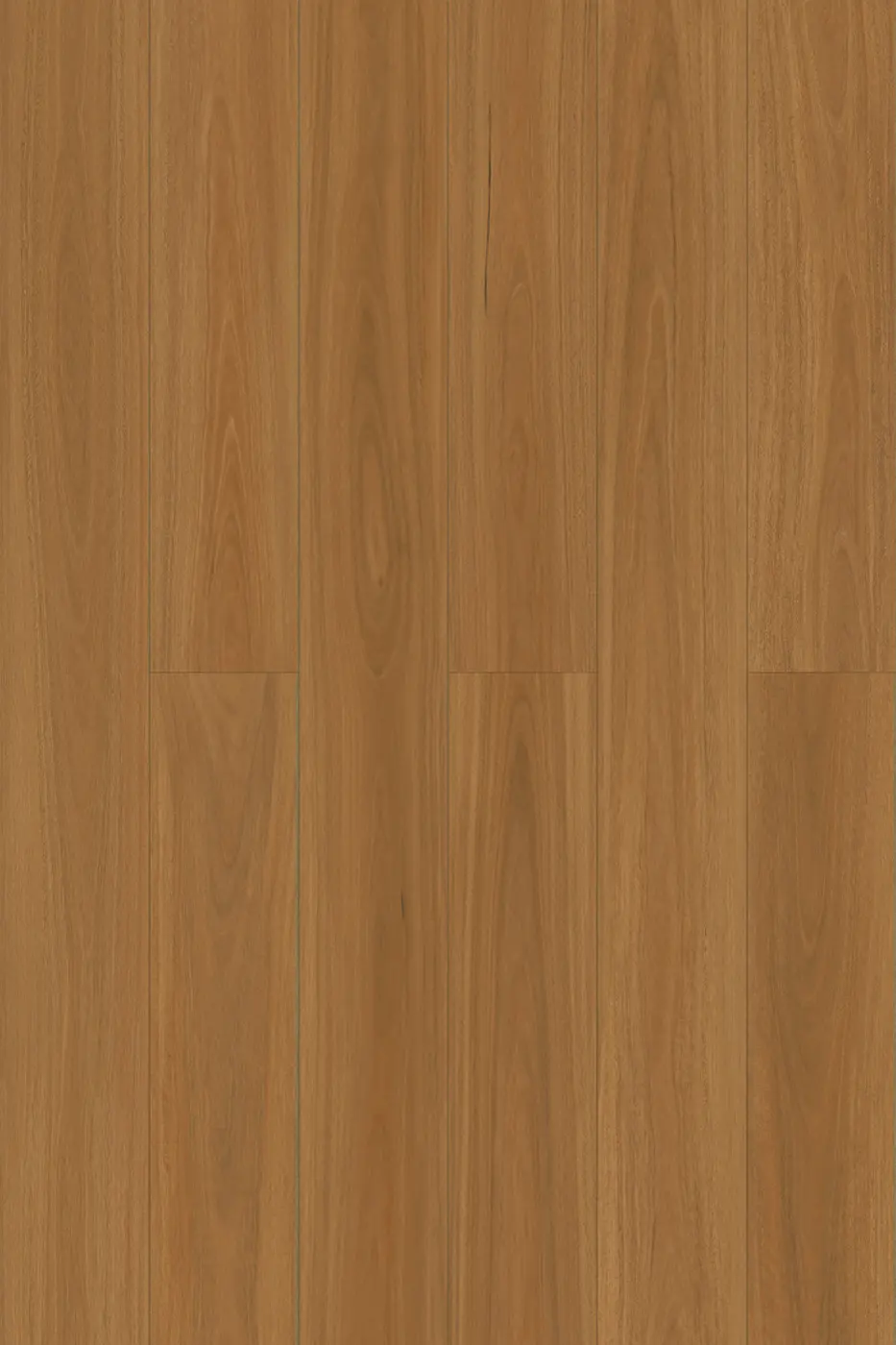 Pantora Lifestyle Spotted Gum laminate flooring product photo