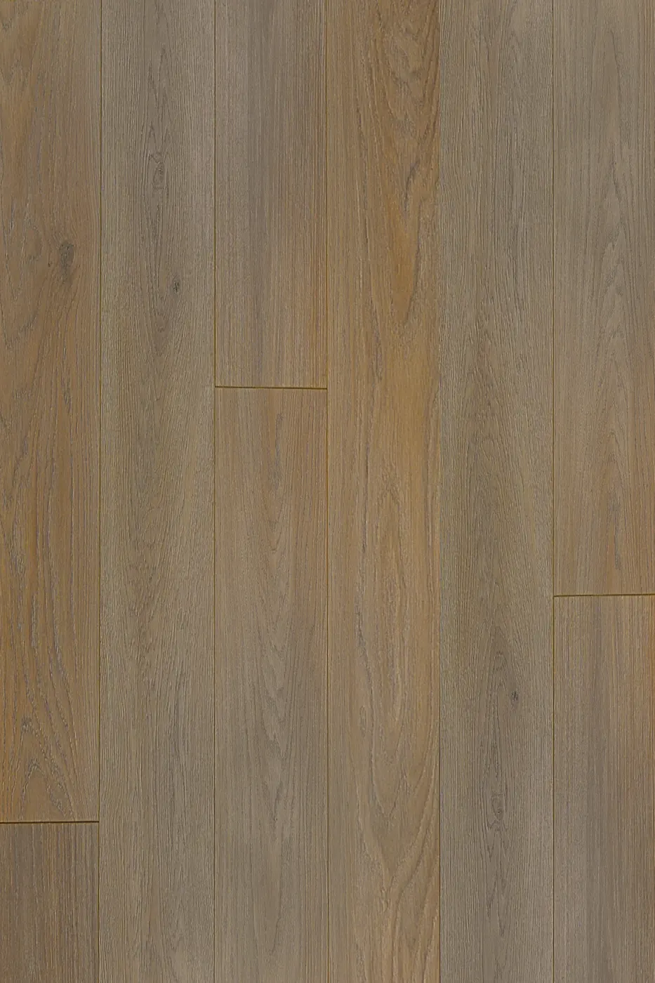 Prime Contemporary Plus French Beige Oak laminate flooring product photo