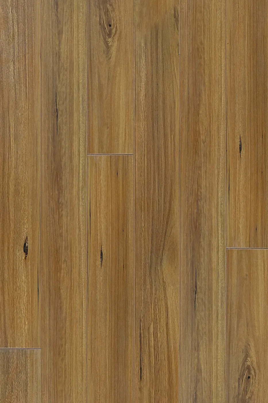 Prime Contemporary Plus New England Blackbutt laminate flooring product photo