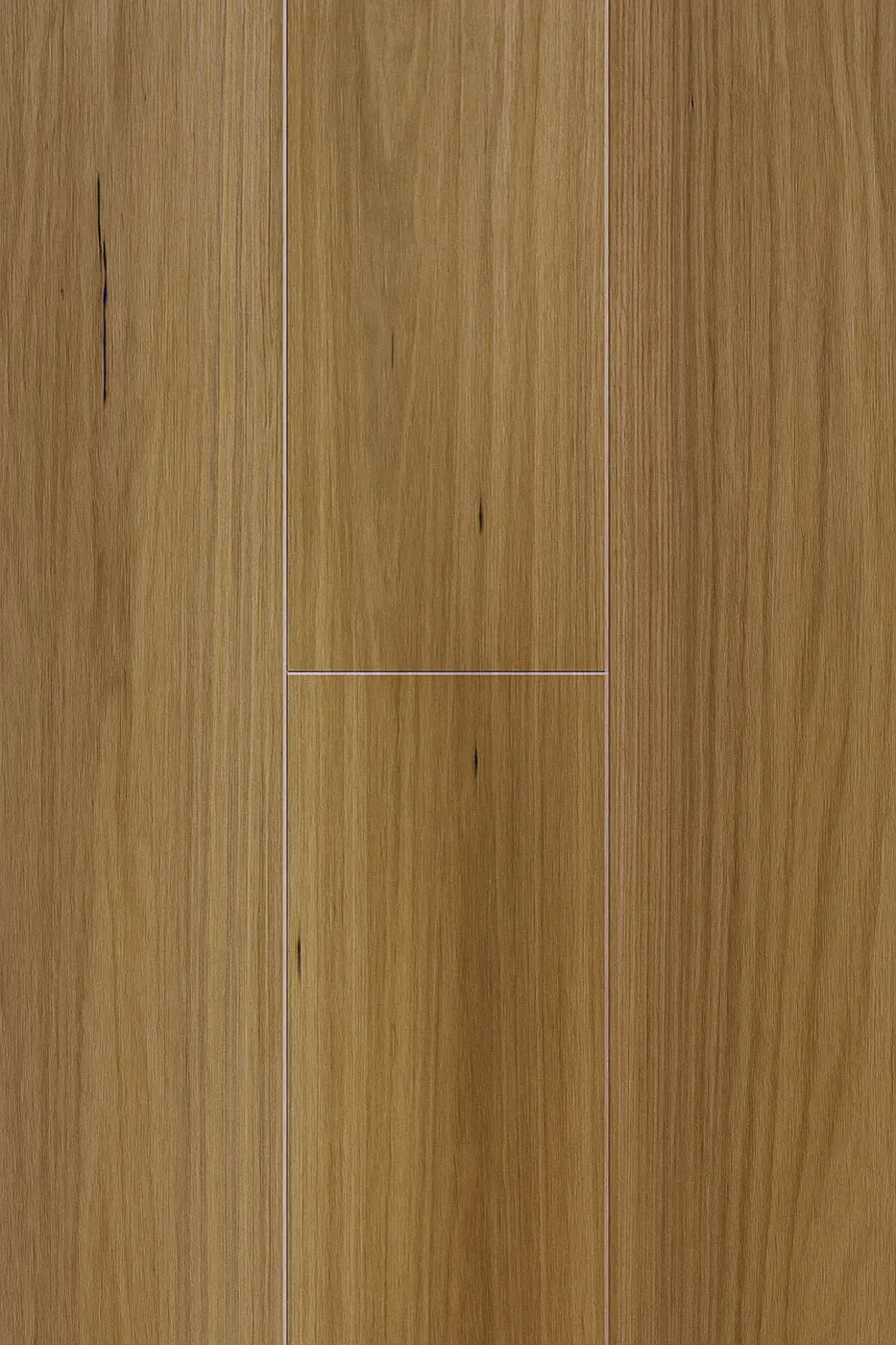 Prime Contemporary Plus New England Blackbutt laminate flooring colour swatch
