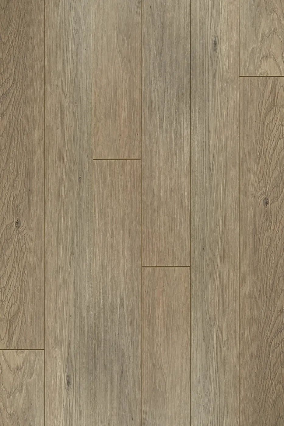 Prime Contemporary Plus Verona Oak laminate flooring product photo