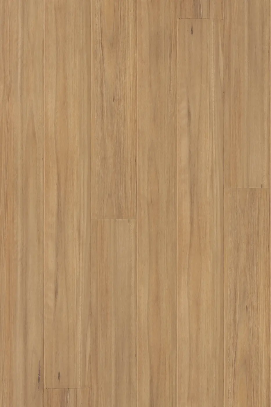 Prime Legend Blackbutt laminate flooring product photo