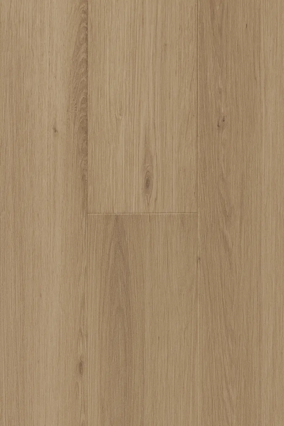 Prime Legend Empire Oak laminate flooring colour swatch