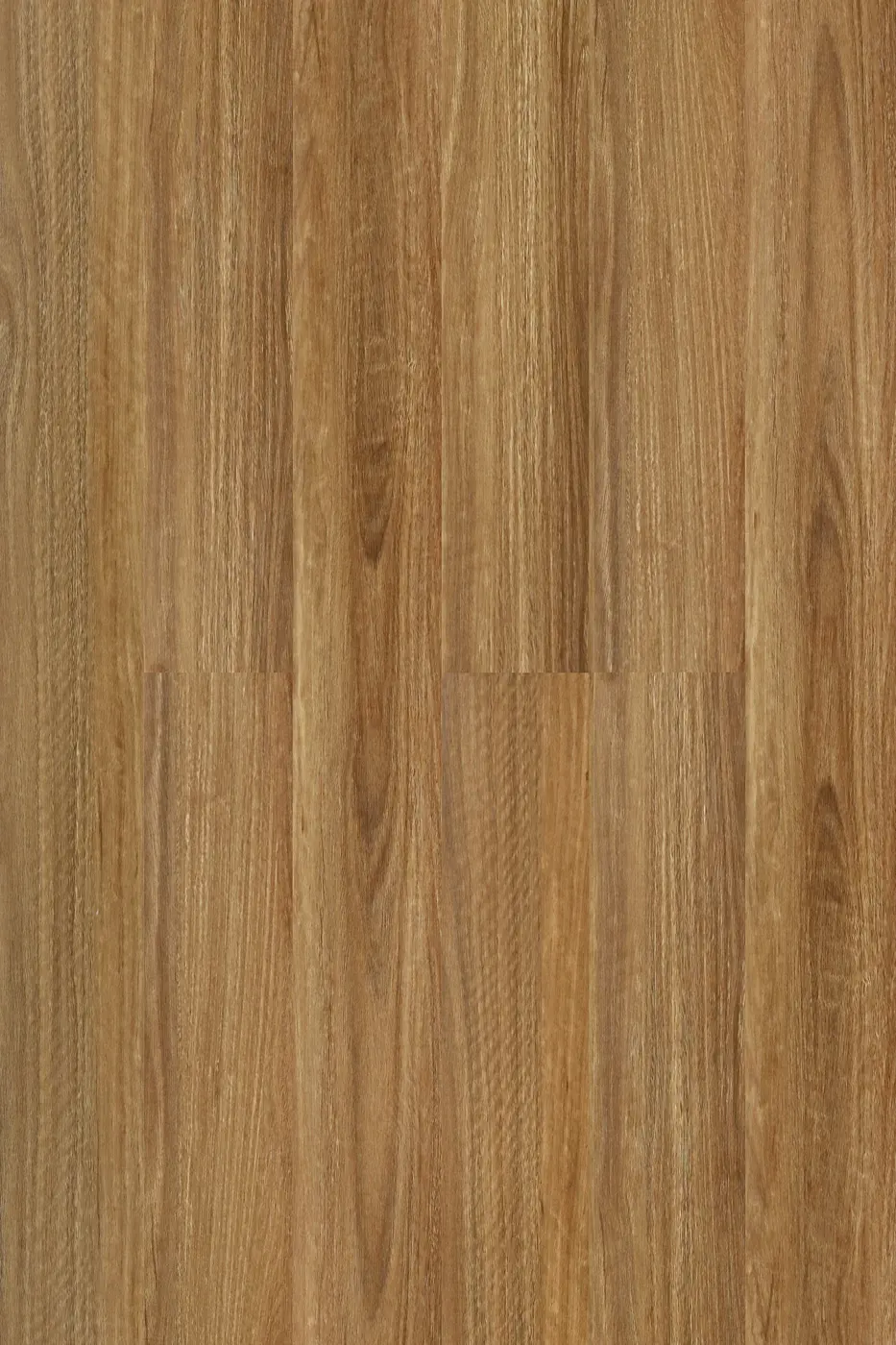 Prime Legend Spotted Gum laminate flooring product photo
