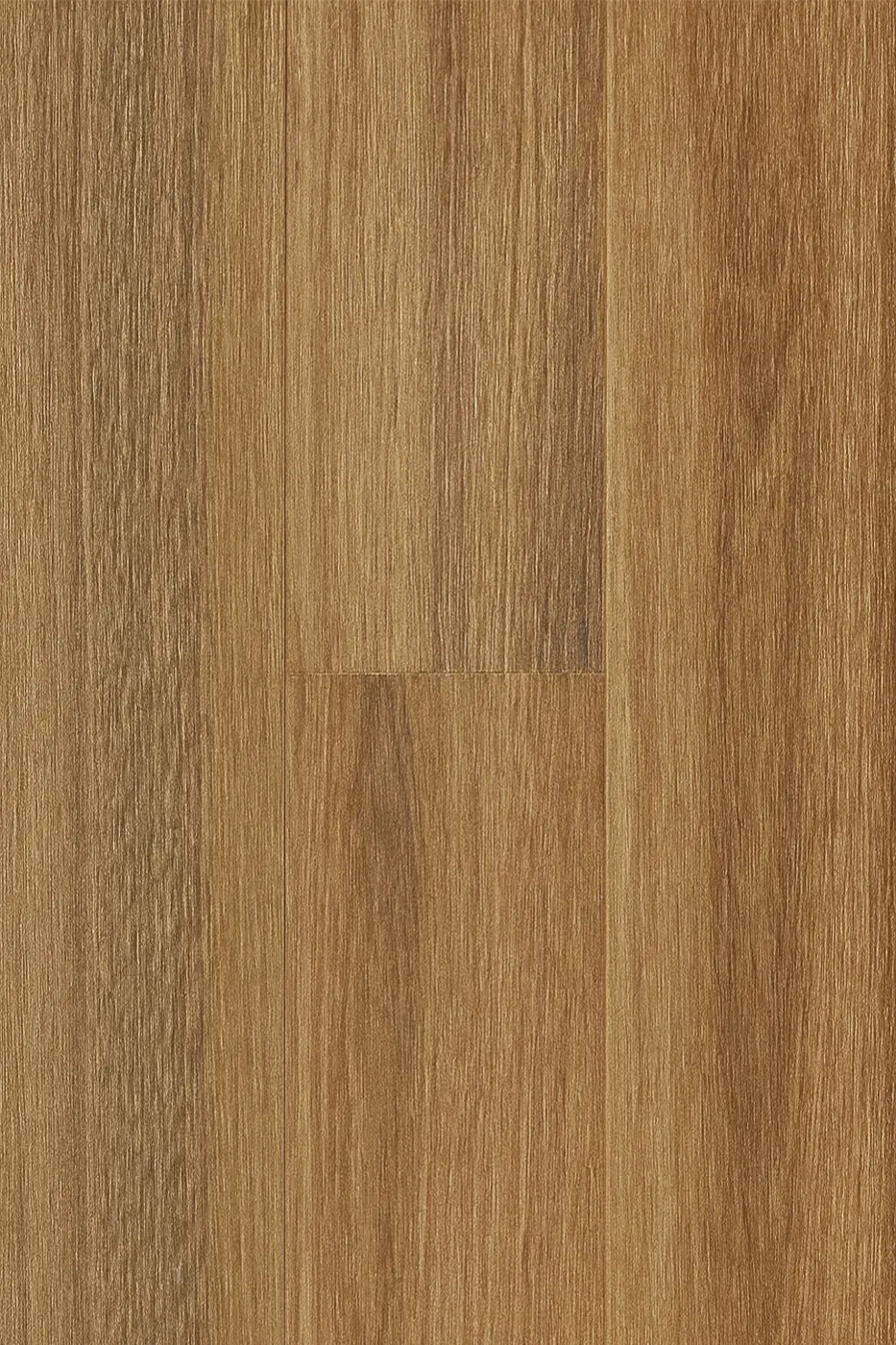 Prime Legend Spotted Gum laminate flooring colour swatch