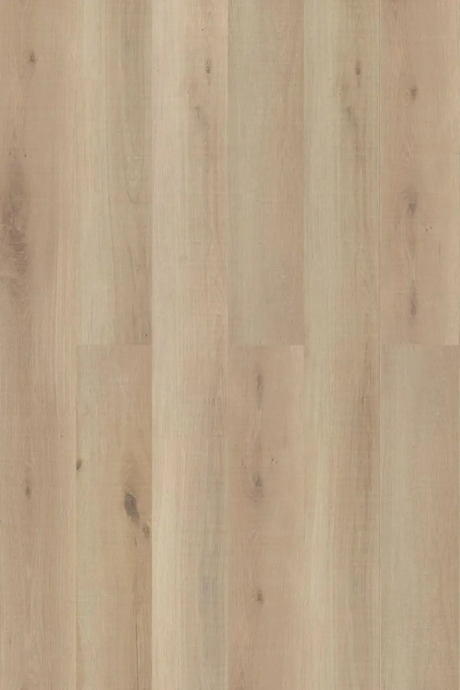 Prime Legend Wheaton Oak laminate flooring product photo