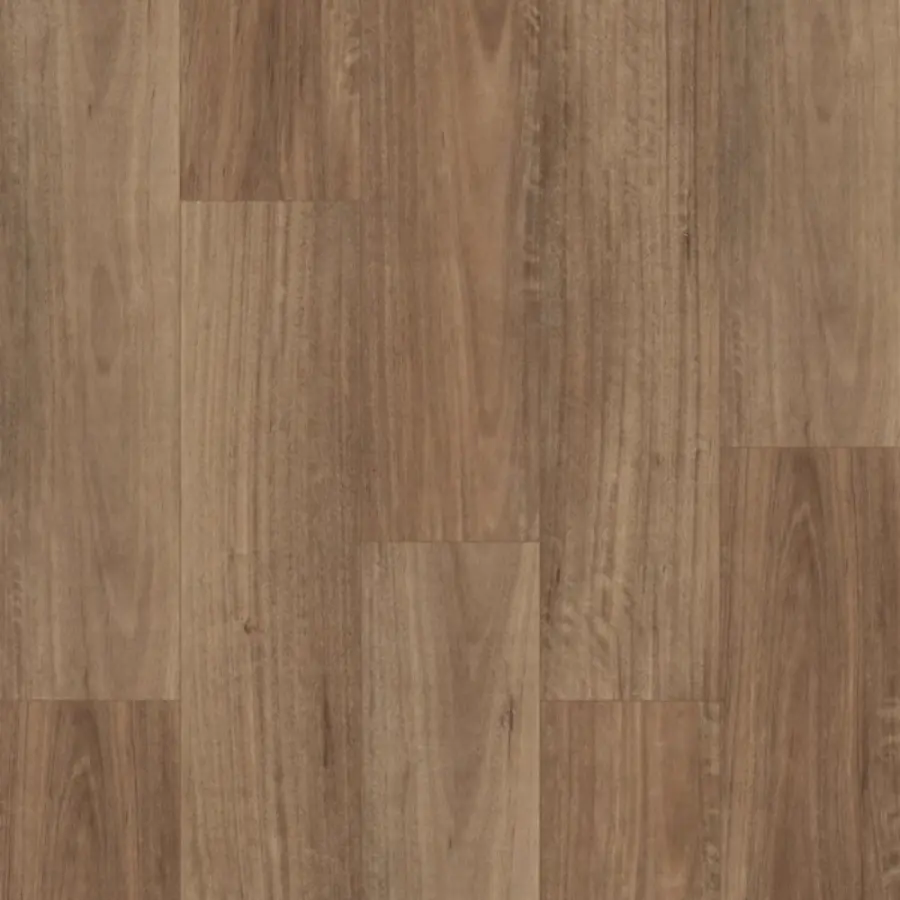 Swish Laminate Aqua NSW Spotted Gum laminate flooring colour swatch