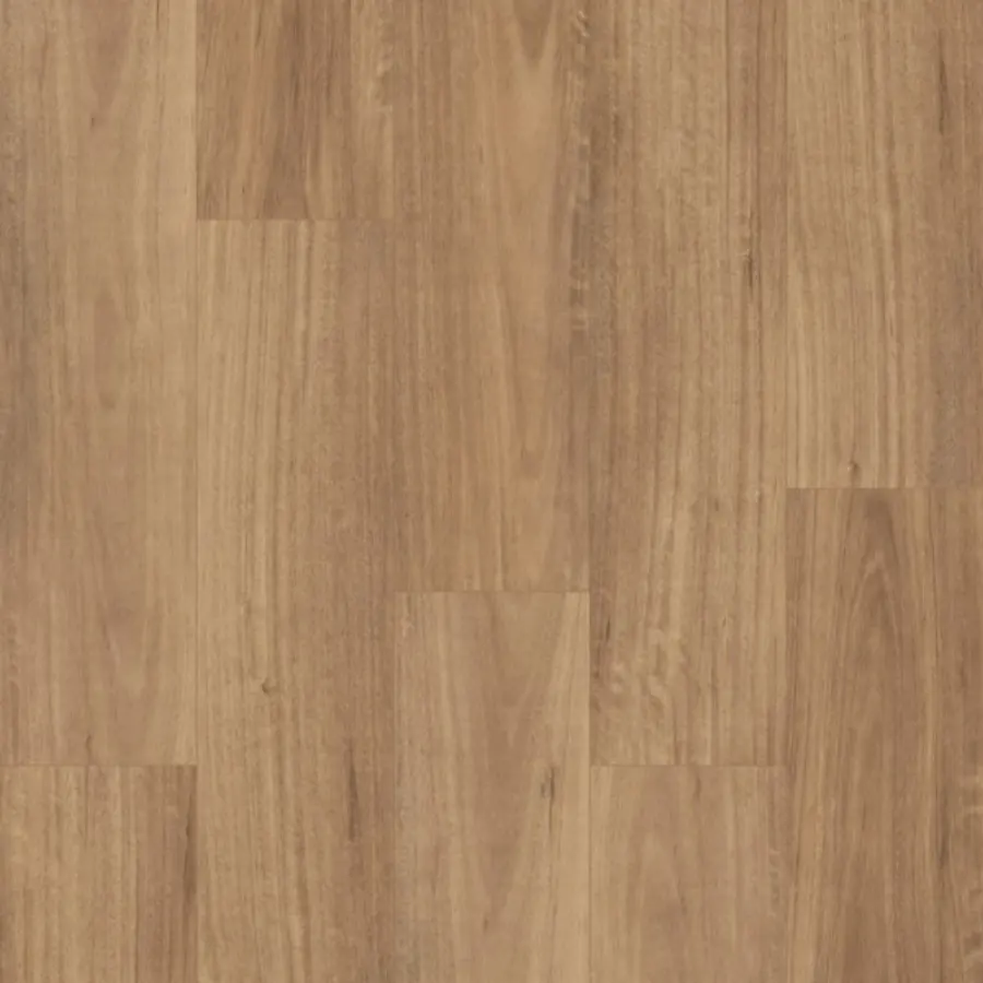 Swish Laminate Aqua QLD Spotted Gum laminate flooring colour swatch