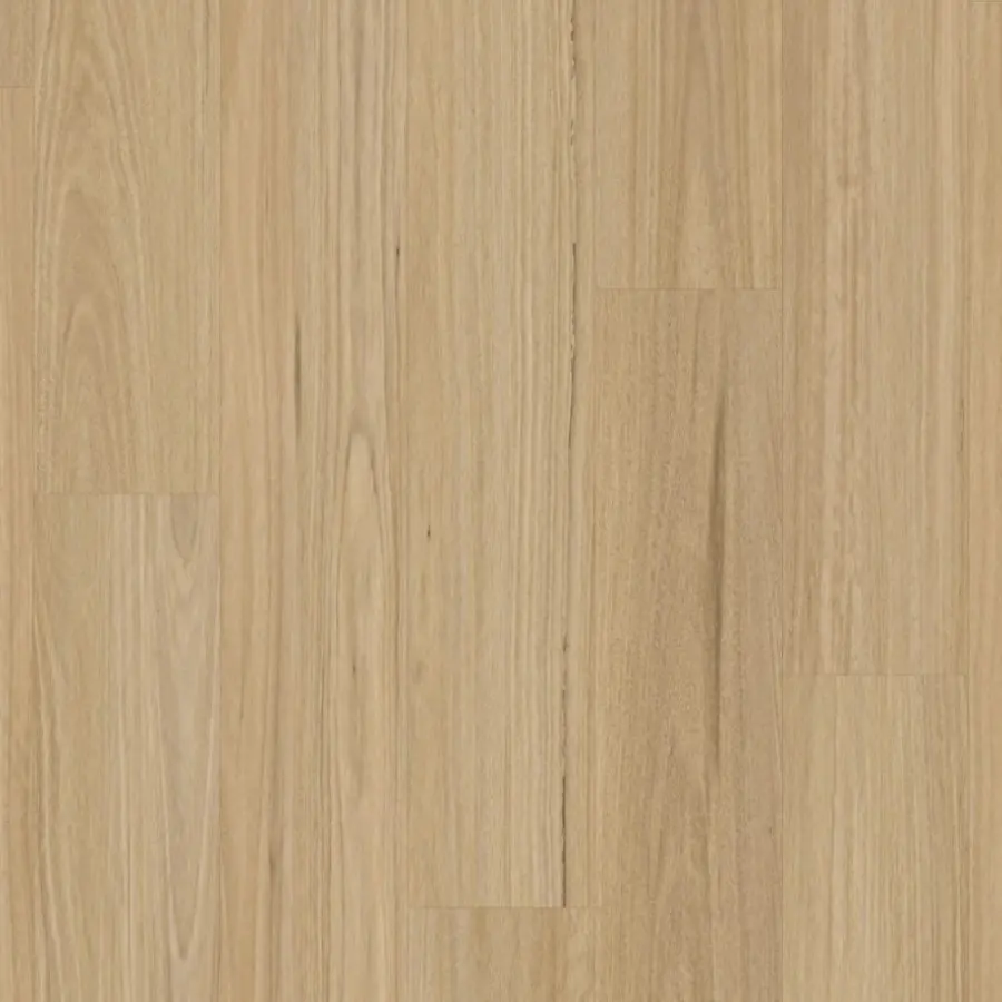 Swish Laminate New England Blackbutt laminate flooring colour swatch