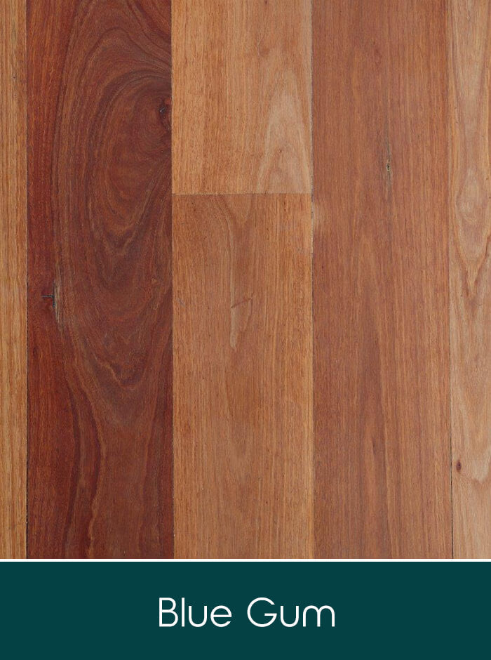 Blue Gum solid timber flooring colour swatch
