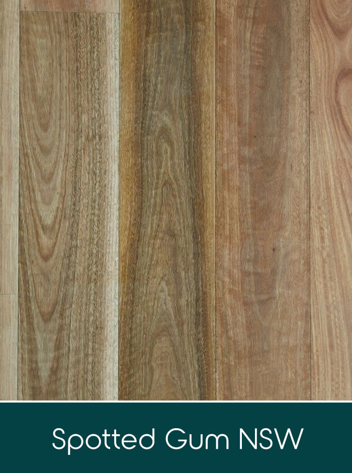 NSW Spotted Gum solid timber flooring colour swatch