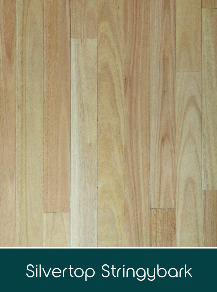 Silvertop Stingybark solid timber flooring colour swatch