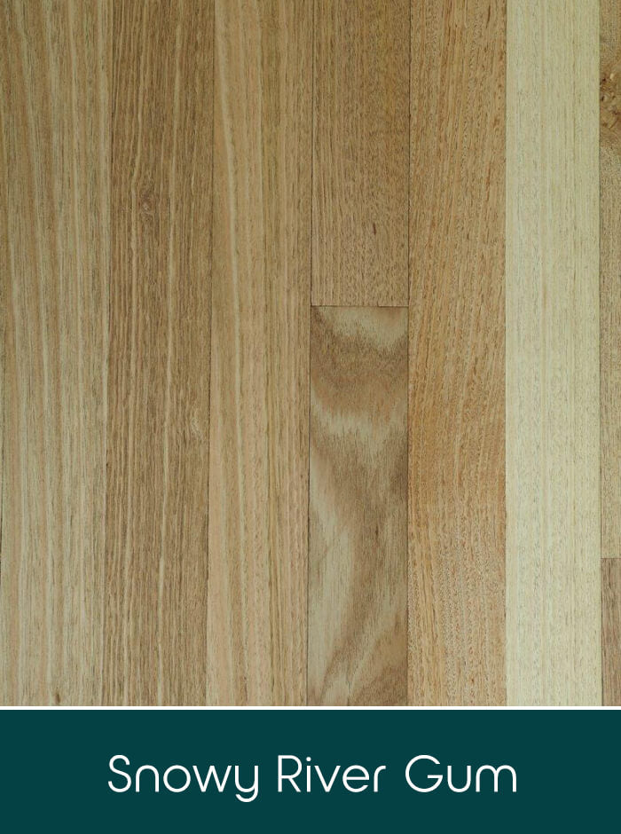 Snowy River Gum solid timber flooring colour swatch